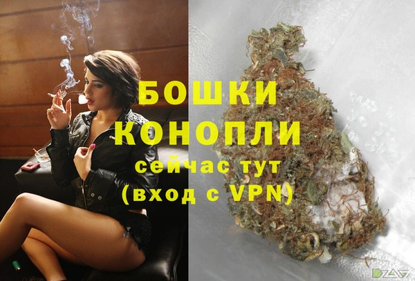 стаф Зеленокумск