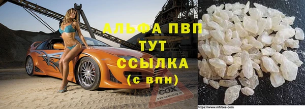 стаф Зеленокумск