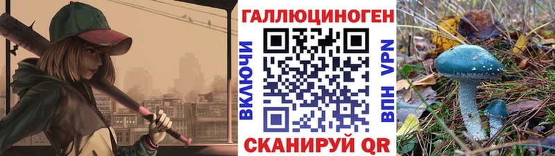 Галлюциногенные грибы Magic Shrooms  Купить закладки  Вышний Волочёк 